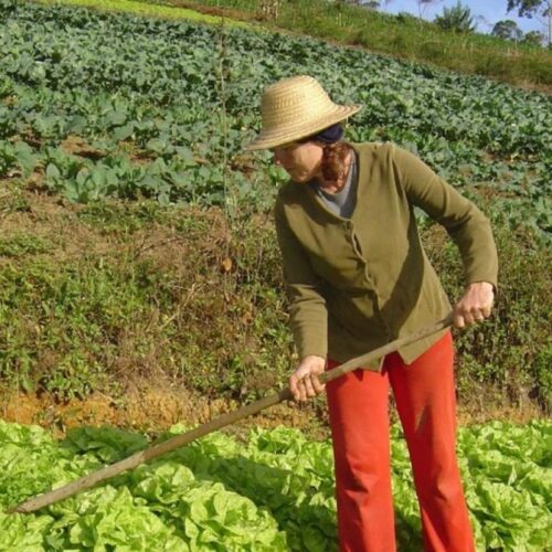 Mato Grosso abre inscrições para o Projeto Maria Terra
