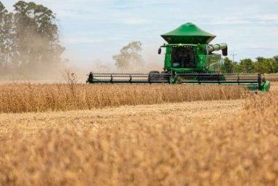 A pedido do MPF, Agricultura revê alteração do calendário da soja no MT