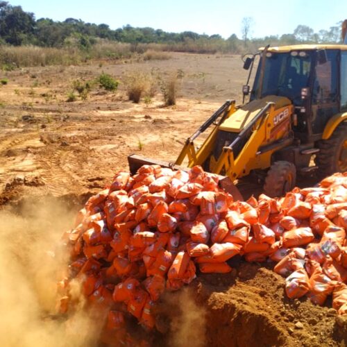 Mais de 15 toneladas de sementes irregulares apreendidas em fiscalização do Indea são destruídas em Agua Boa